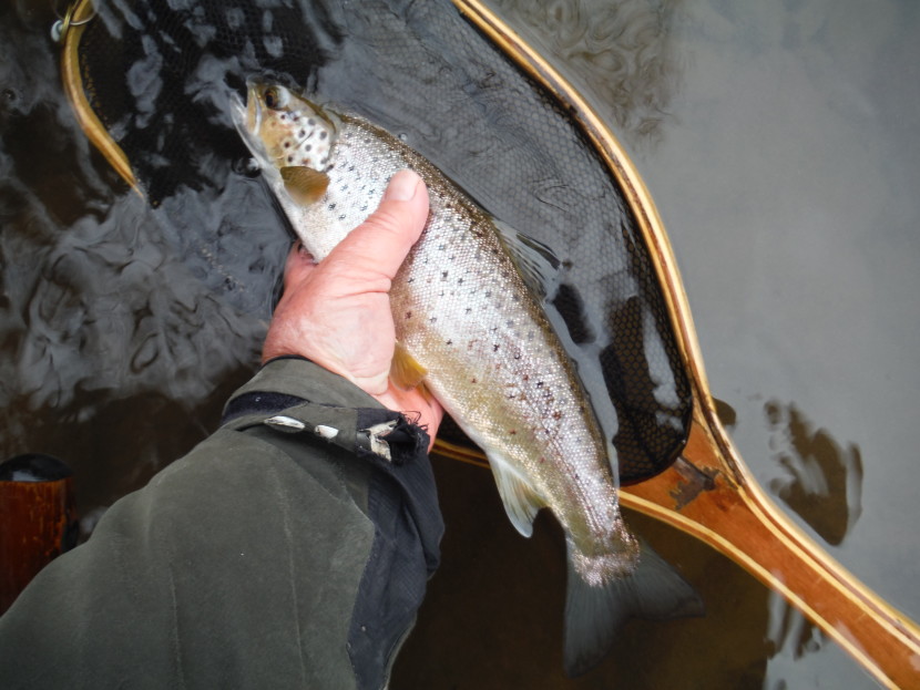 First of the season